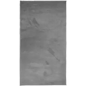 vidaXL Tapis OVIEDO à poils courts anthracite 60x110 cm pas cher