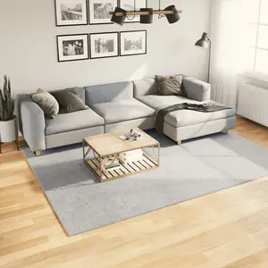 Comparateur de prix : vidaXL Tapis HUARTE à poils courts doux et lavable gris 200x280 cm
