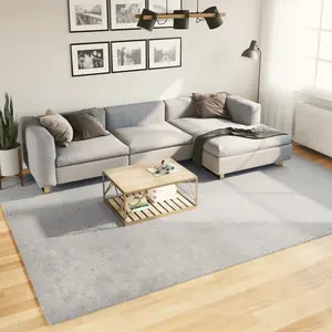 Comparateur de prix : vidaXL Tapis HUARTE à poils courts doux et lavable gris 240x340 cm