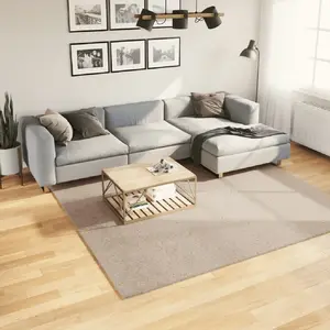 Comparateur de prix : vidaXL Tapis HUARTE à poils courts doux et lavable sable 240x240 cm