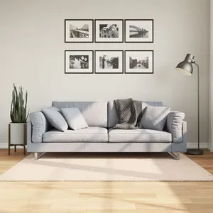 Comparateur de prix : vidaXL Tapis HUARTE à poils courts doux et lavable beige 120x170 cm