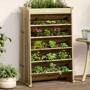 vidaXL Jardinière de plantes aromatiques 6 niveaux bois pin imprégné pas cher