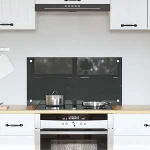 Comparateur de prix : Vidaxl - Crédence de cuisine Gris foncé Verre trempé 80 x 40 x 0,6 cm
