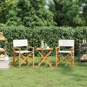 Vidaxl chaises de metteur en scène pliantes lot de 2 bois teck massif pas cher