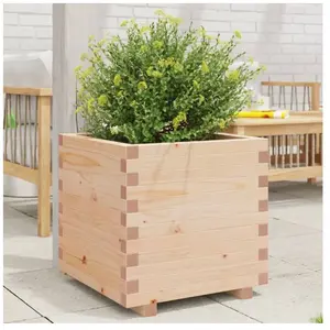vidaXL Jardinière 50x50x49,5 cm bois de pin massif pas cher