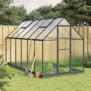 vidaXL Serre avec cadre de base anthracite 334x169x202 cm aluminium