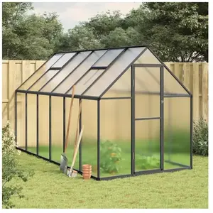 vidaXL Serre avec cadre de base anthracite 334x169x195 cm aluminium