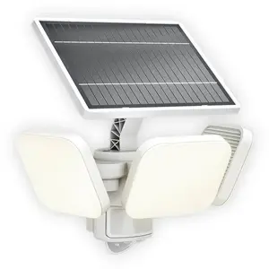 Lampe solaire LED Philips Zyren, blanche, 3 000 K, avec capteur, IP65
