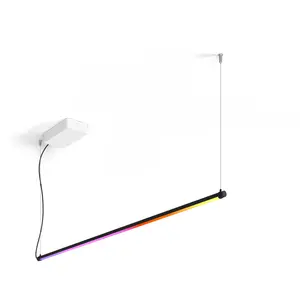 Philips Hue white & Color ambiance Suspension Dégradée Signe