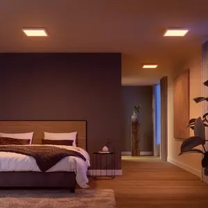 Comparateur de prix : Panneau LED Philips Hue White & Color Ambiance Surimu, 30 x 30 cm