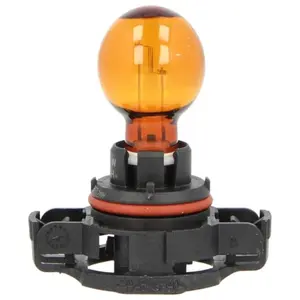 Comparateur de prix : Philips - Ampoule de signalisation PSY24WNA 12V C1