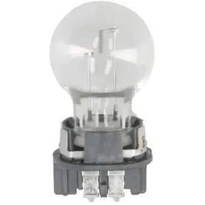 Comparateur de prix : Philips - Ampoule pour éclairage de jour PW16W 12177C1 12V