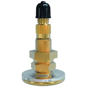 TIPTOP - Valve air et eau pour chambre pied métallique - 3002980 pas cher