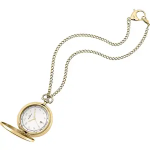 Montre Philip Watch  Montre en laiton pas cher