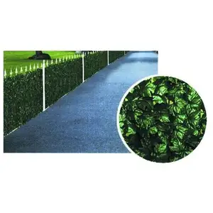 Haie de lierre h 100 m 3 Ilcampo 03473 pas cher