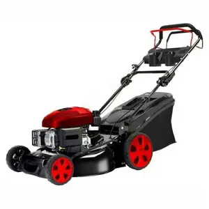 Tondeuse à gazon autotractée Brico cm 51 Rmt173 Excel 03781