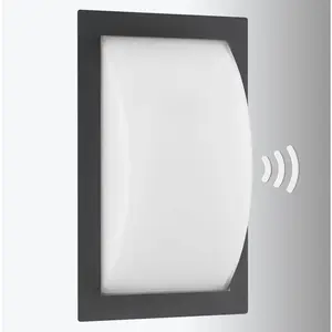 LCD Applique d'extérieur Ivett E27 graphite avec détecteur de mouvemen...Vendu parluminaire
