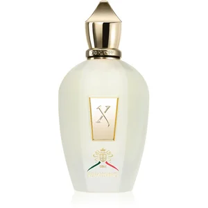 Xerjoff XJ 1861 Renaissance Eau de Parfum mixte 100 ml pas cher