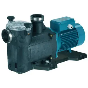 Pompe piscine avec filtre MPC41m 1,1kW 1,5Hp Monophasé 230V 50Hz Calpeda MPCMVendu paramazon