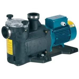 Pompe Calpeda MPC 1,5 cv Monophasée 20 m3/h pas cher