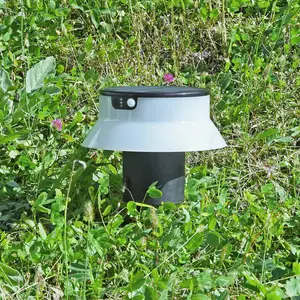 Fumagalli Lampe solaire LED Felice noire CCT avec piquet pas cher