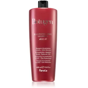 FANOLA Shampoing, 1000 ml pas cher