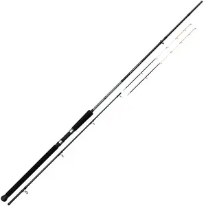 Fishing Ferrari Canne Jigging Kintales pas cher