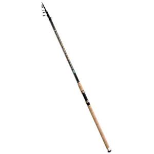Comparateur de prix : Canne de pêche Lineaeffe Toro 4m20 100 gr - Carbone - Pêche du brochet