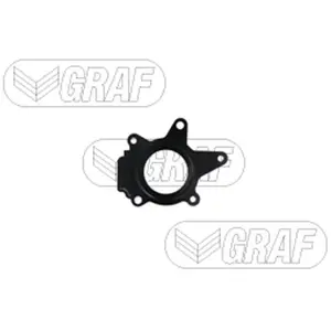 Pompe À Eau, Refroidissement Du Moteur Pa1554 Graf Graf Pa1554 pas cher