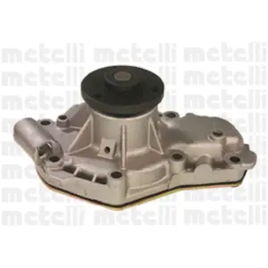 Pompe À Eau Metelli 24-0536 pas cher