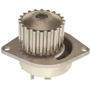 Pompe À Eau Metelli 24-0491 pas cher