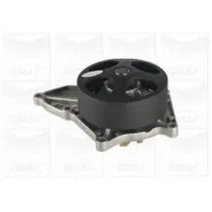 Pompe à eau PA1175 Graf PA1175 pas cher