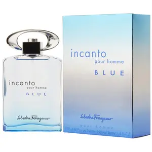Incanto Pour Homme Blue - Salvatore Ferragamo Eau De Toilette Spray 100 ML pas cher