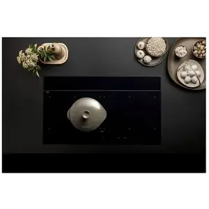 Comparateur de prix : Plaque induction falmec brera3420 + hotte integree