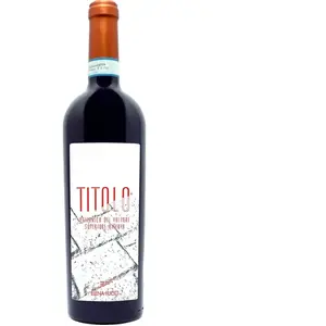 Elena Fucci Titolo Superiore Riserva Aglianico del Vulture 2019 0.75 l pas cher