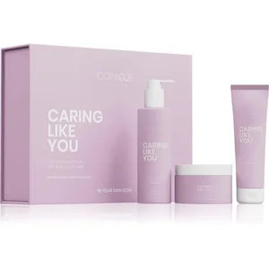 Comparateur de prix : ICONIQUE Professional CARING LIKE YOU Deep Hydration Set ensemble pour cheveux secs et abîmés