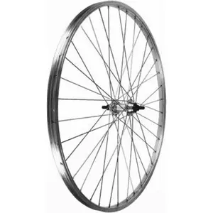 Roues Arrière 26x1.75 en Aluminium Argent avec Moyeu à Roulements pour...
