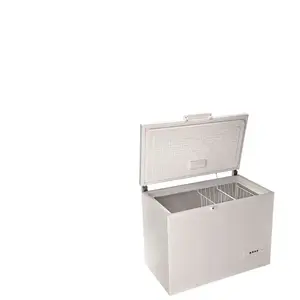 Congelateur coffre HOTPOINT CS2A300H pas cher