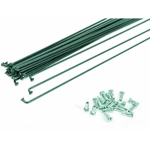Generico Set de 18 Rayons Noirs 298x2mm en Acier Galvanisé avec Nipples