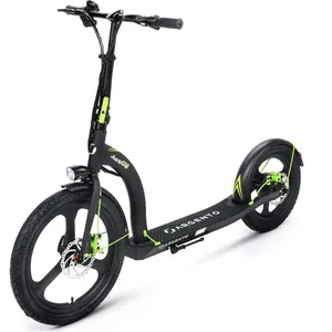 TX Trottinette électrique Argento Active 350 W NoirVendu parrakuten
