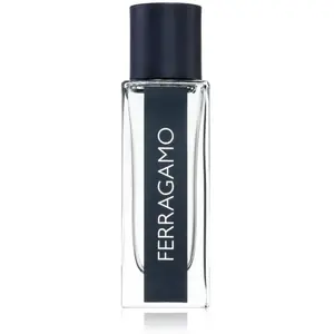 Salvatore Ferragamo Ferragamo Eau De Toilette 30 ml (man) pas cher