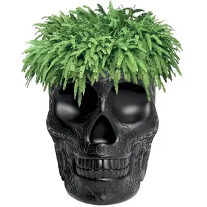 Comparateur de prix : QEEBOO vase MEXICO PLANTER (Noir - Polyéthylène)