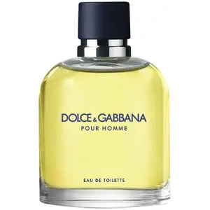 Comparateur de prix : Dolce&Gabbana Dolce &amp; Gabbana Pour Homme eau de toilette vaporisateur 125 ml