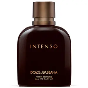 Comparateur de prix : Dolce&Gabbana Pour Homme Intenso Eau de Parfum pour homme 200 ml