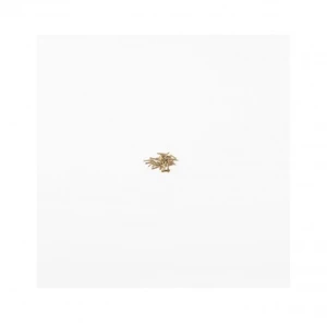 Comparateur de prix : Amati Accessoires maquette bateau : Clous laiton 7 mm