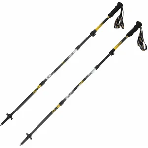Rock Experience Bâtons Dynamic Z Evo pas cher