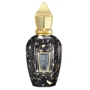 Comparateur de prix : Xerjoff Homme Anniversary parfum pour homme 50 ml