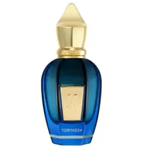 XERJOFF Torino 24 ATP Parfum 1000 ml pas cher