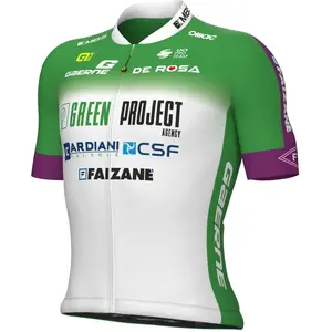 Alé Maillot manches courtes GREEN PROJECT-BARDIANI CSF-FAIZANÈ 2023 pas cher