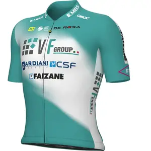 Alé Maillot manches courtes VF GROUP-BARDIANI CSF-FAIZANÈ 2024 pas cher